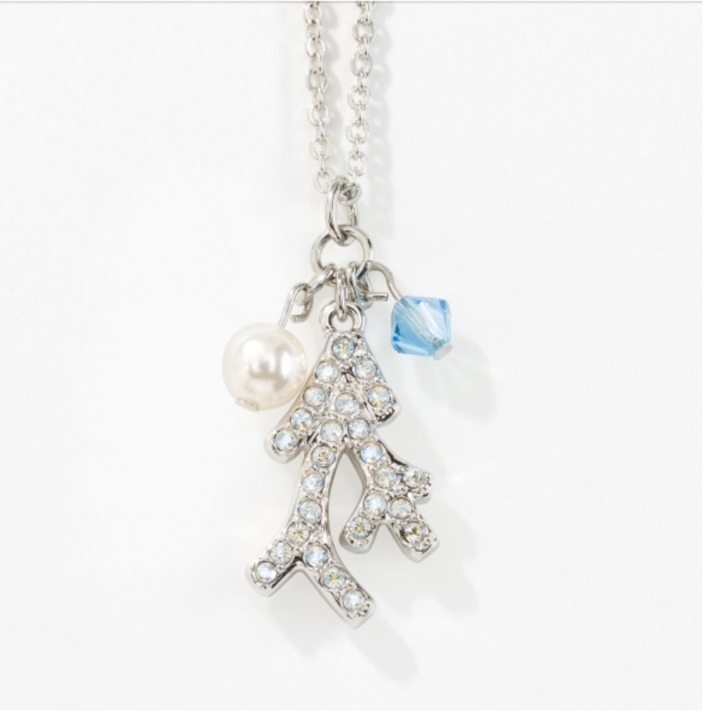 Touchstone Crystal By Swarovski Necklace